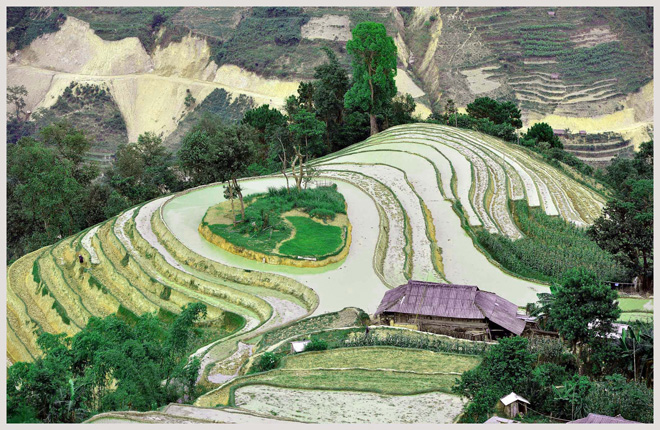 Hoàng Su Phì quyến rũ mùa nước đổ ảnh 2